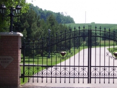 wrought-iron-driveway-gate-9